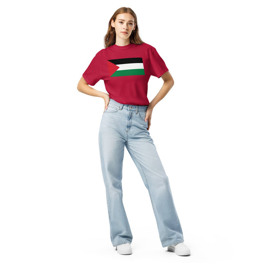 Flat lay of black Palestine flag tee, medium size