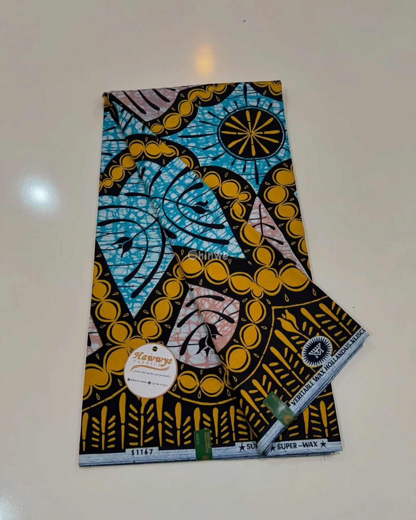 Golden Teardrop Medallion Print with Sky Blue Spirals and Coral Center Framed Botanical Border Golden Arch Motif with