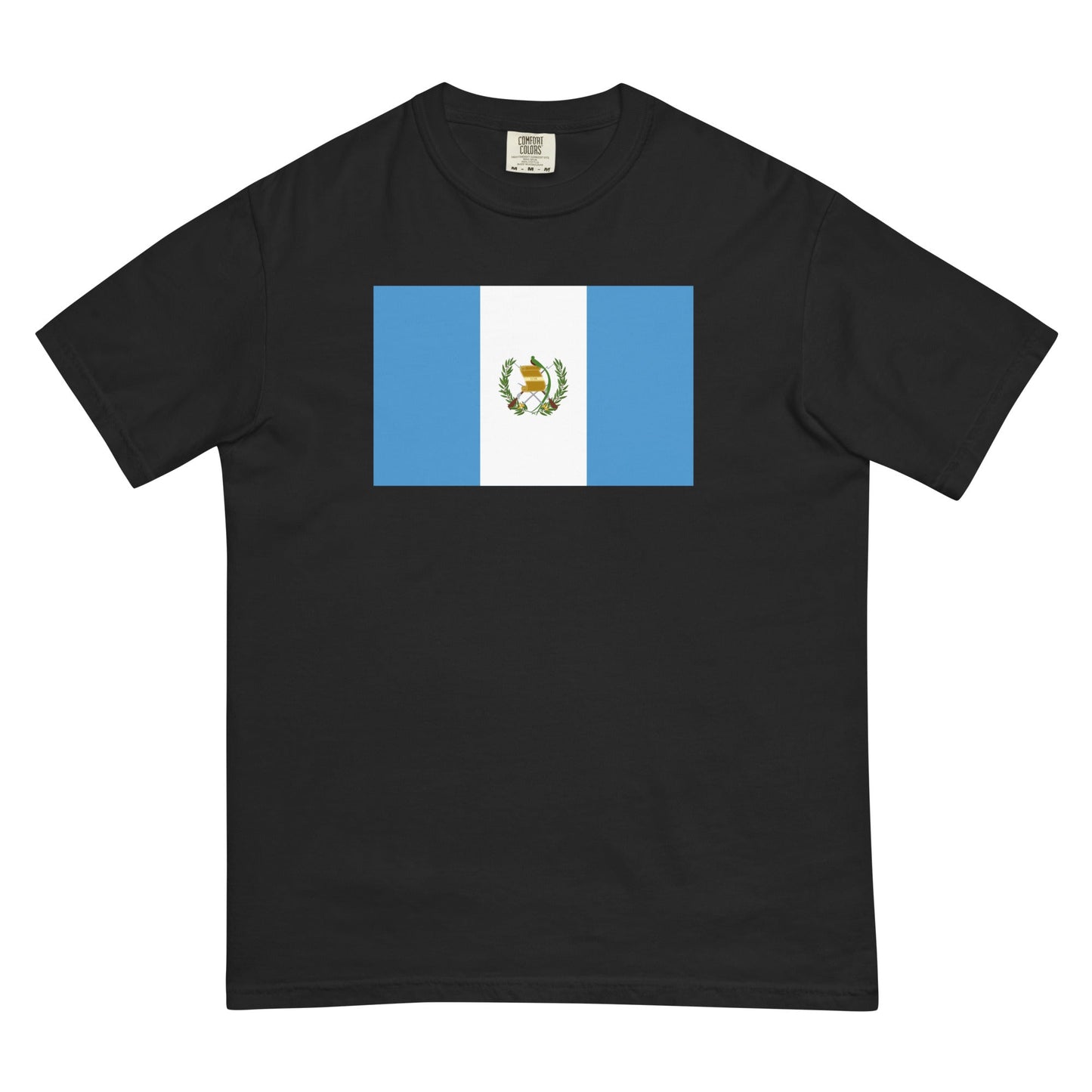 Bold Guatemala flag design tee in brick, small