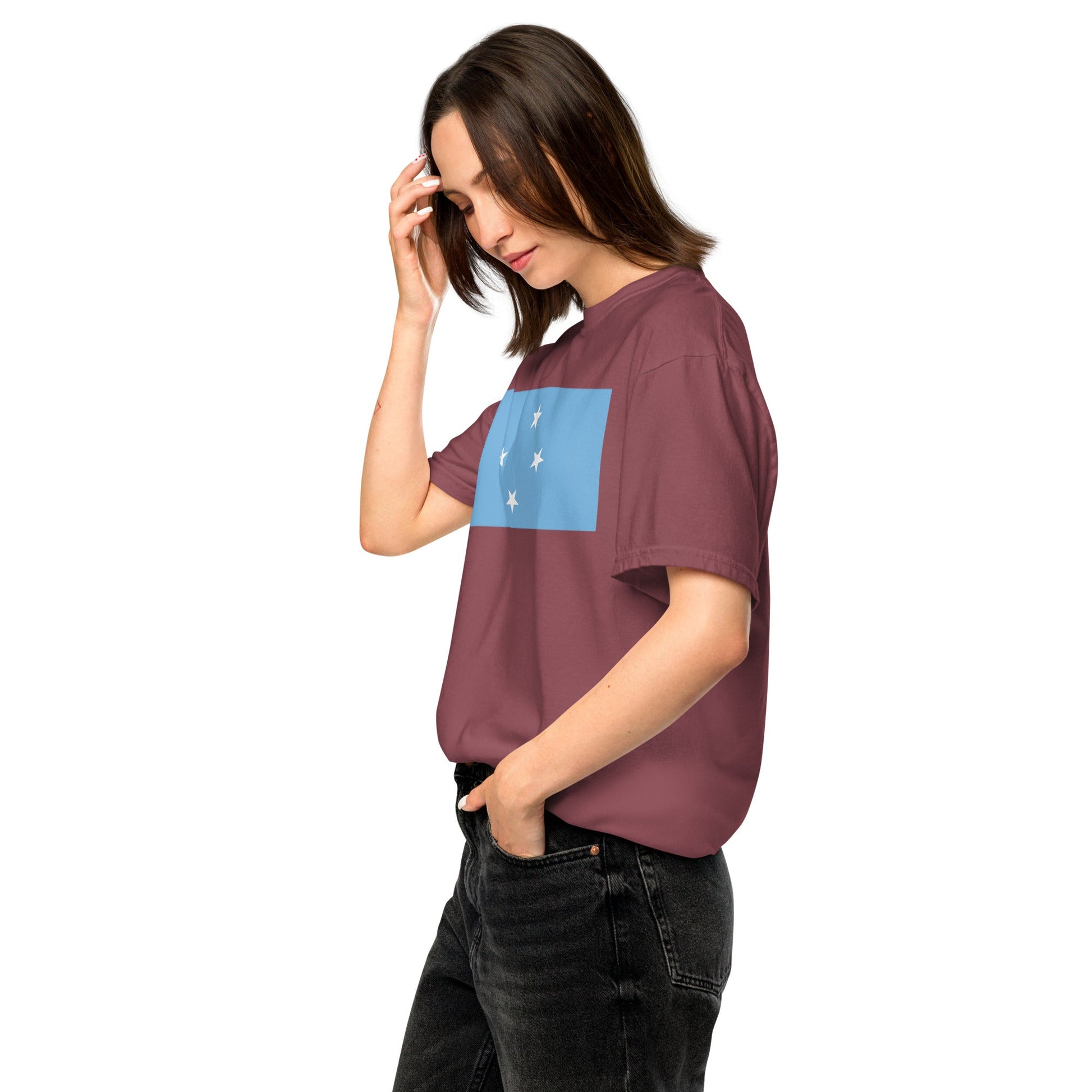 Micronesia flag shirt in black, size 2X large