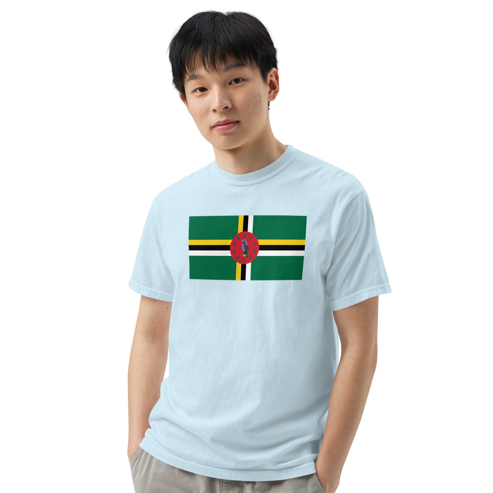 Dominica 1 flag shirt in red, size 4X large