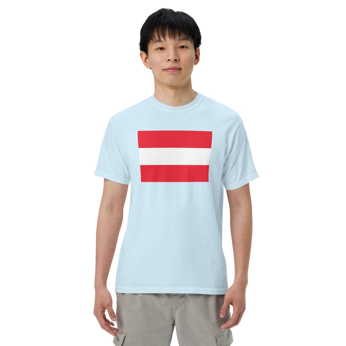 Flag tee representing Austria in grape, 3X large