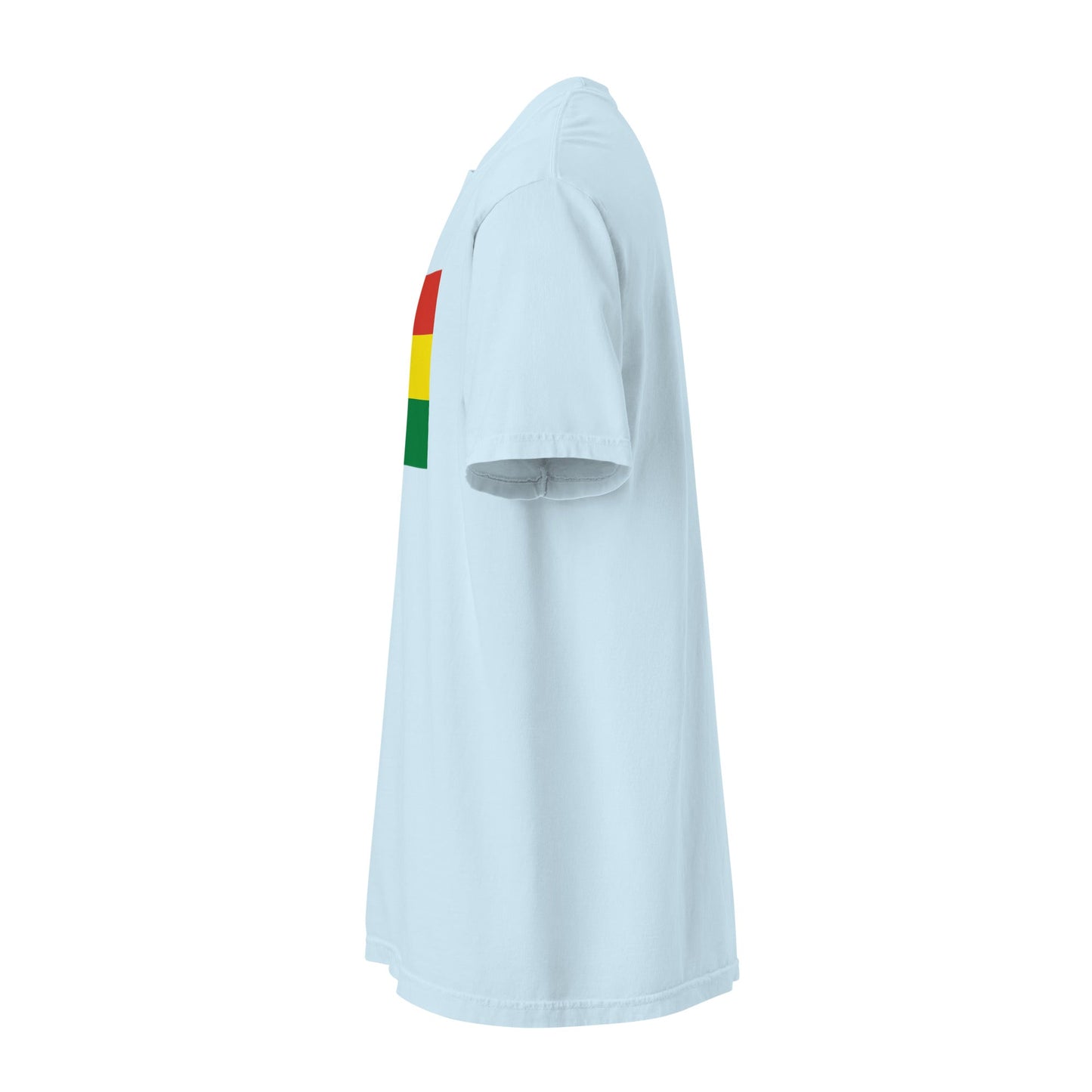 Flag tee representing Bolivia in espresso, extra large