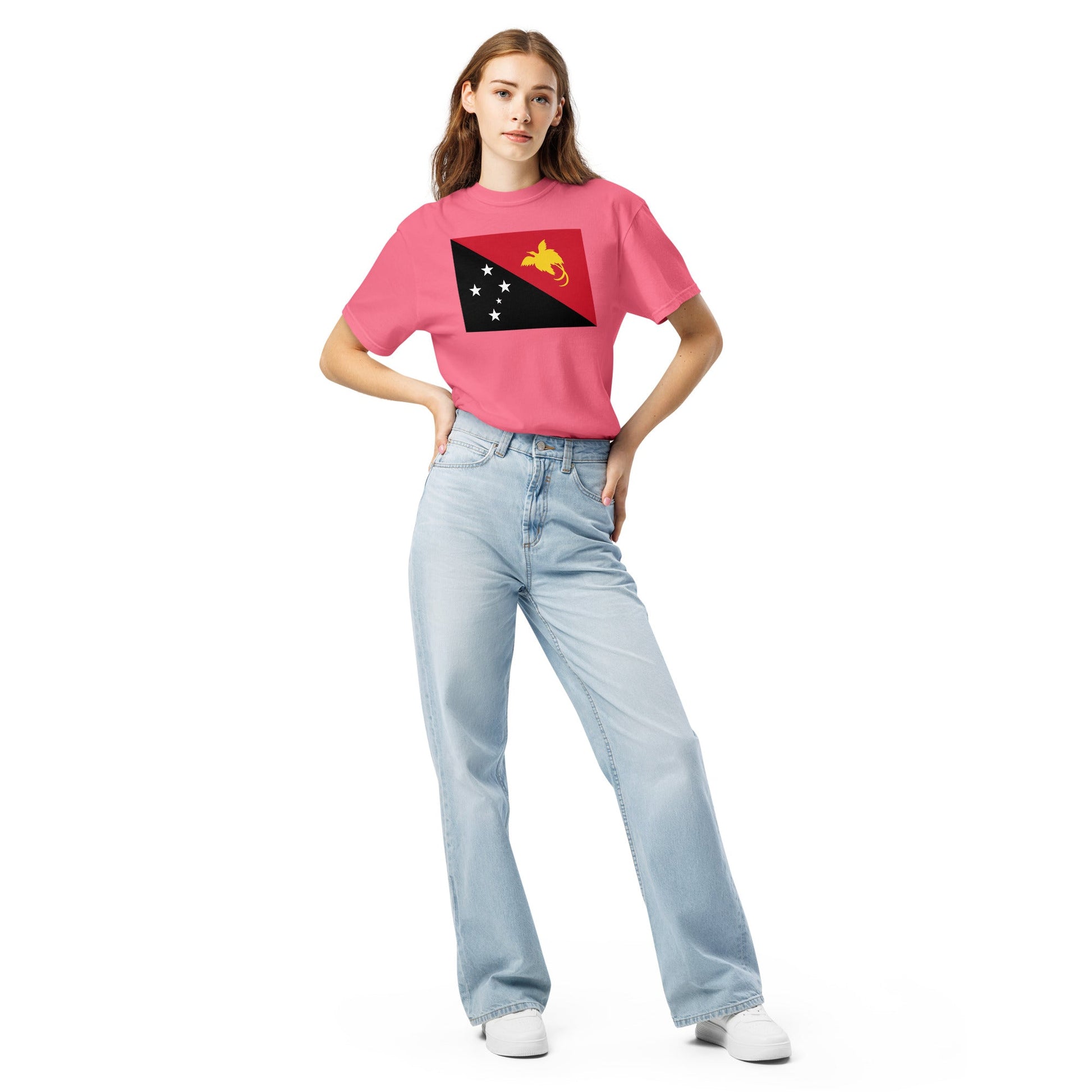 Bold Paraguay flag design tee in black, 4X large