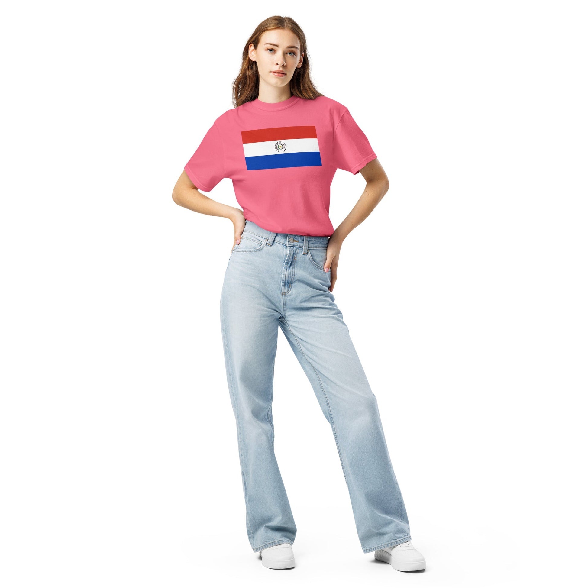 Bold Paraguay 1 flag design tee in black, extra large