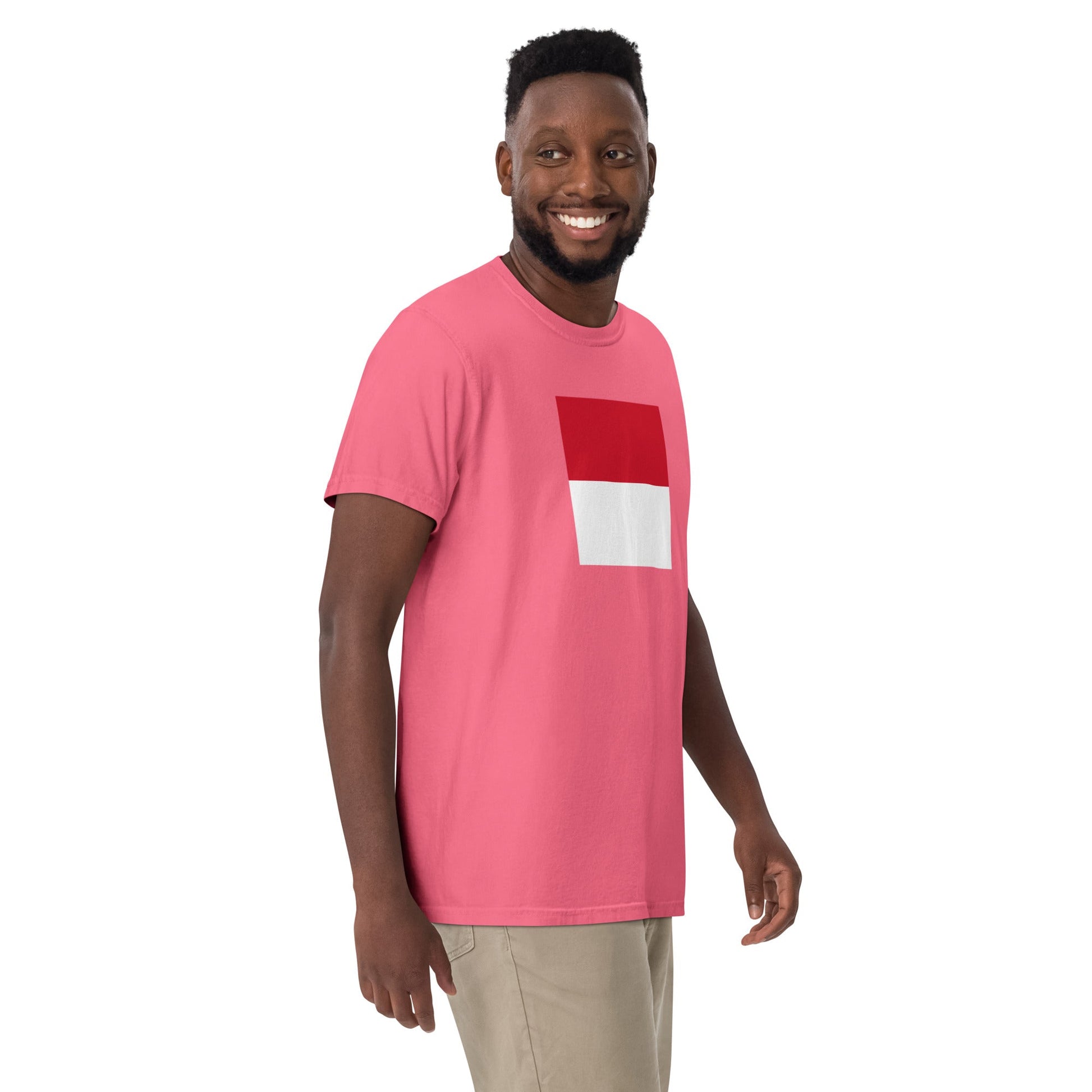 Monaco flag shirt in black, size 4X large