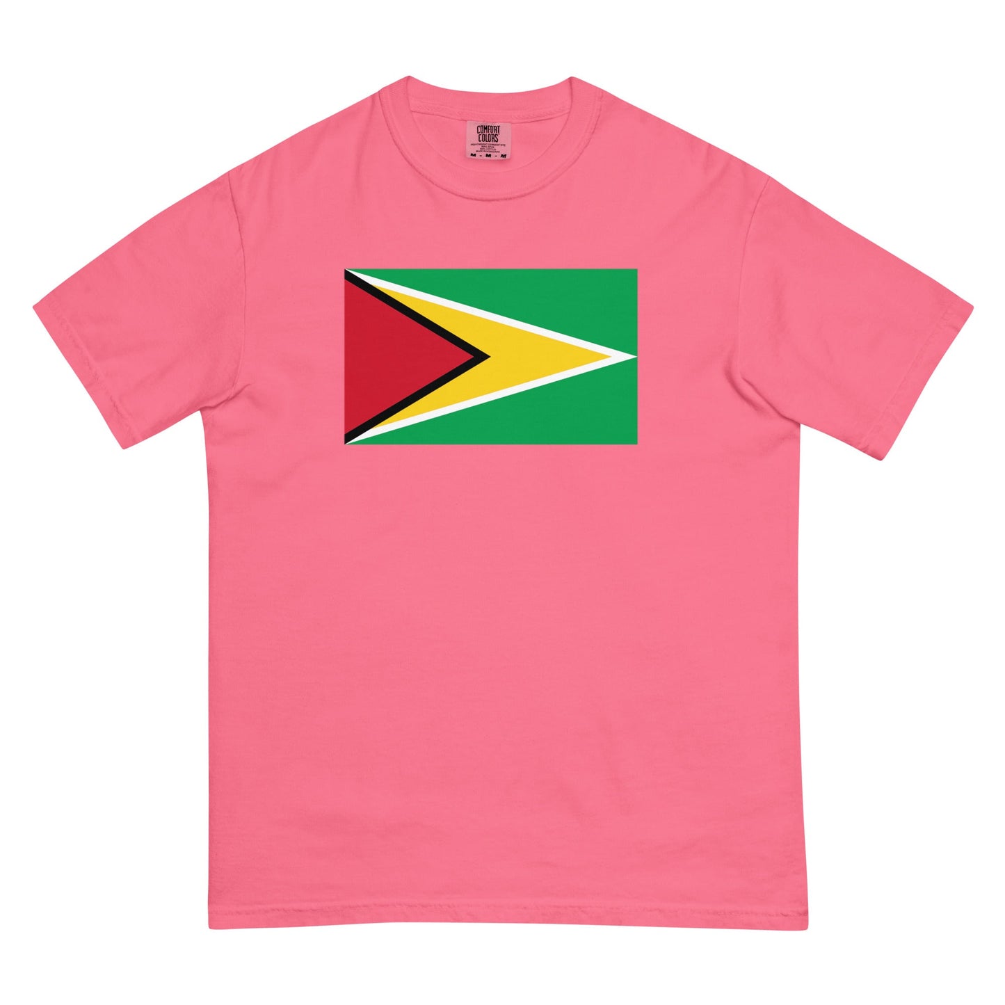Bold Guyana flag design tee in espresso, small