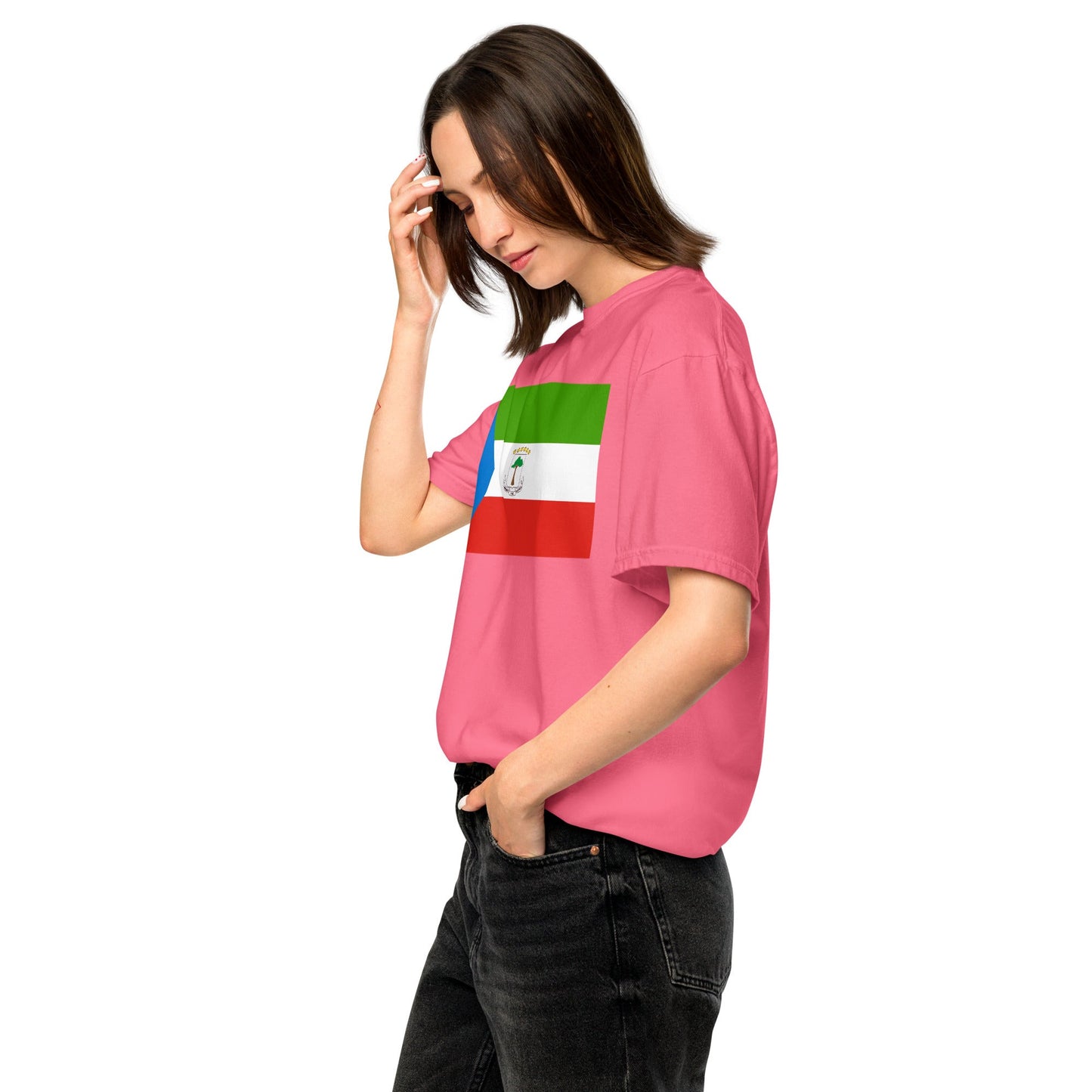 Flat lay of black Equatorial Guinea flag tee, 4X large size