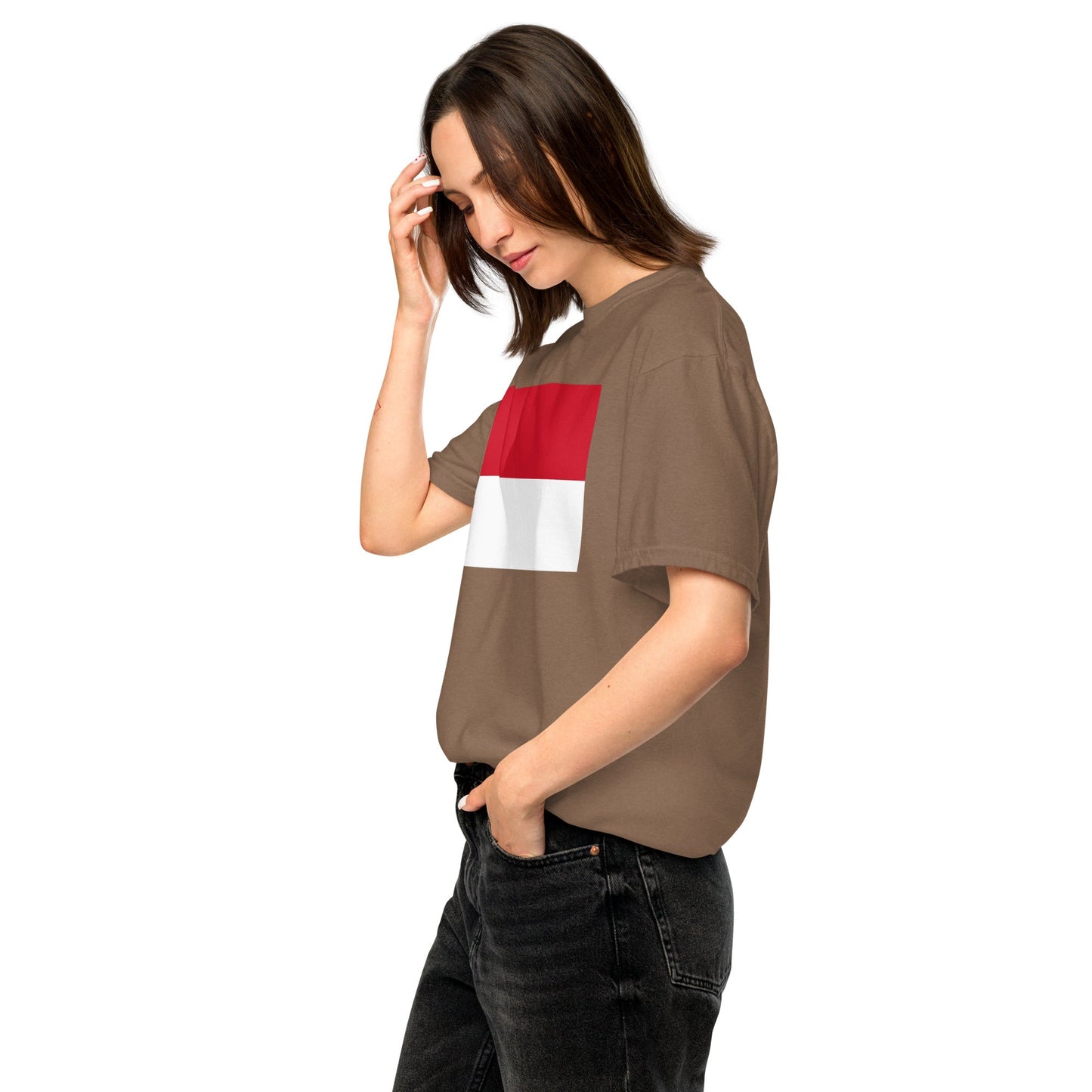 Monaco flag shirt in black, size 2X large