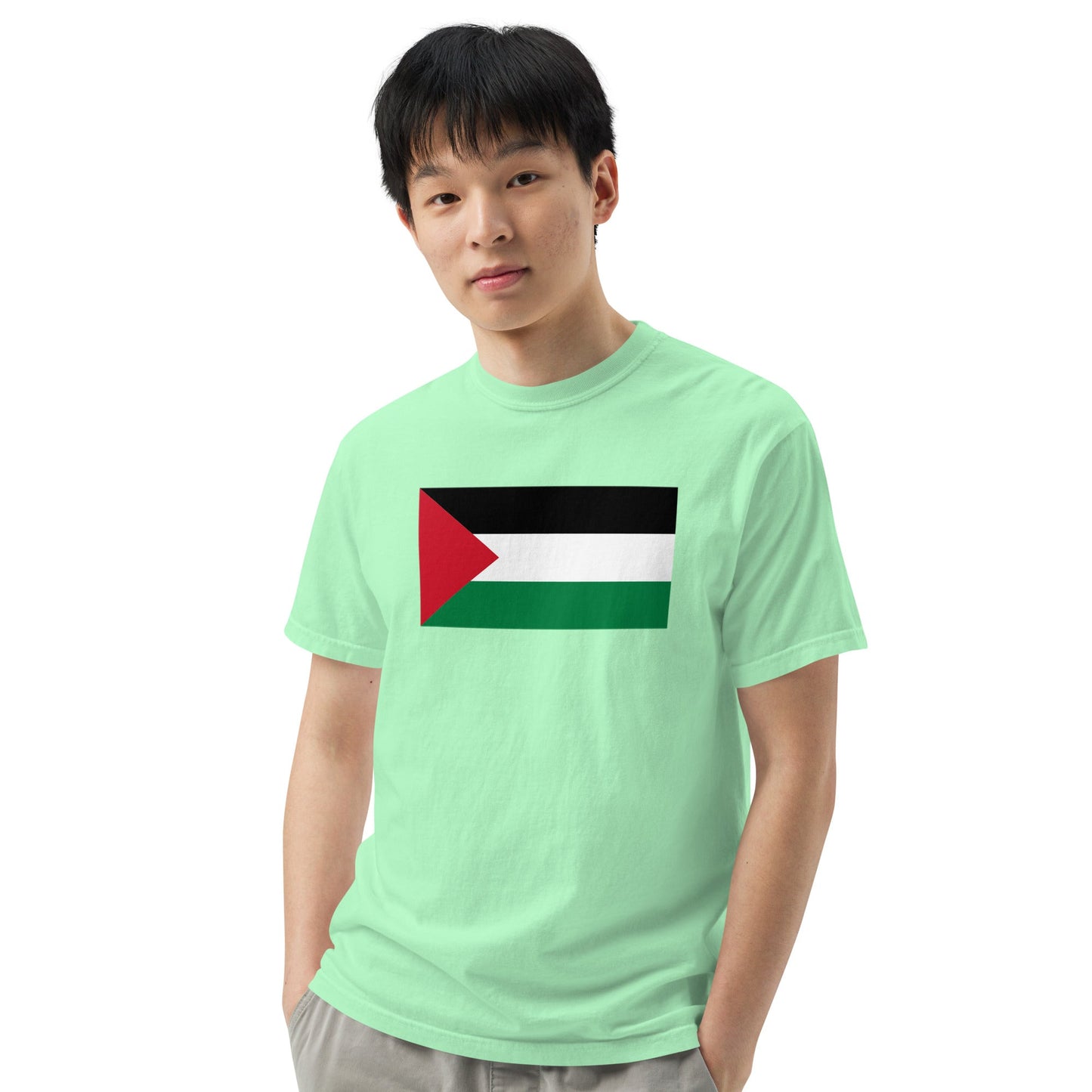 Palestine flag shirt in black, size 4X large