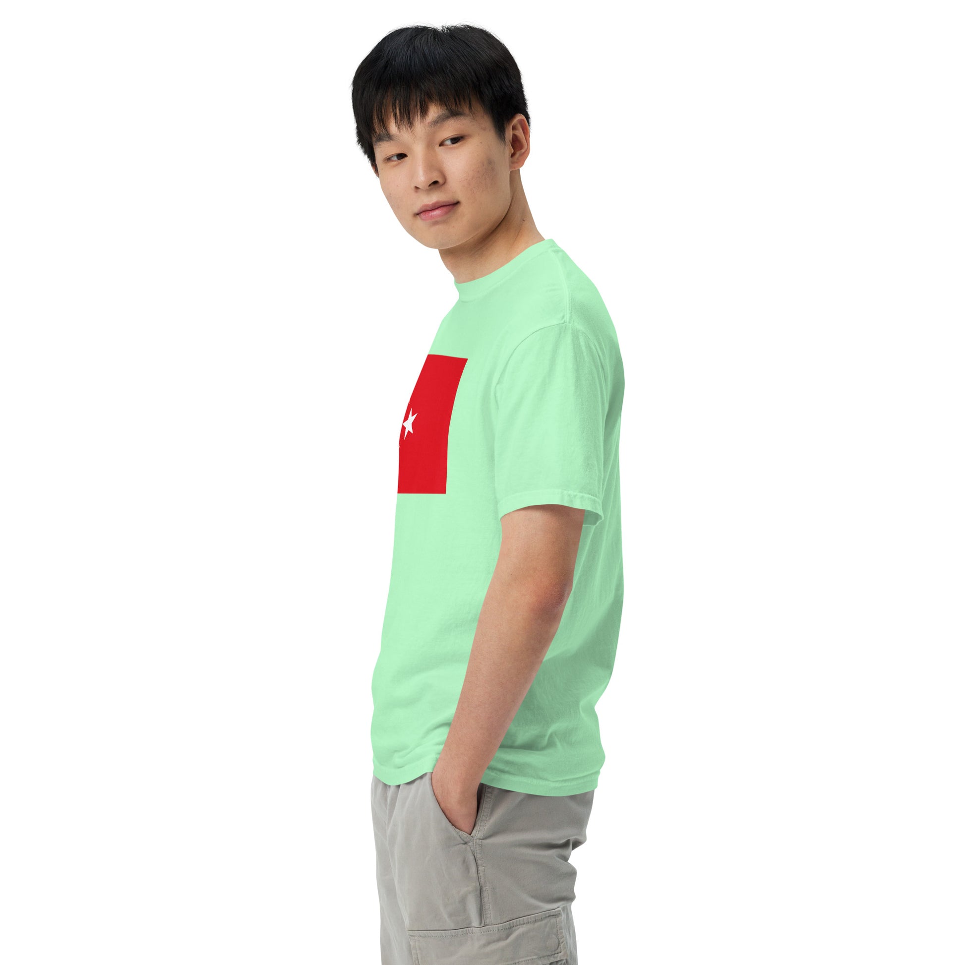 Flat lay of berry Turkey flag tee, medium size