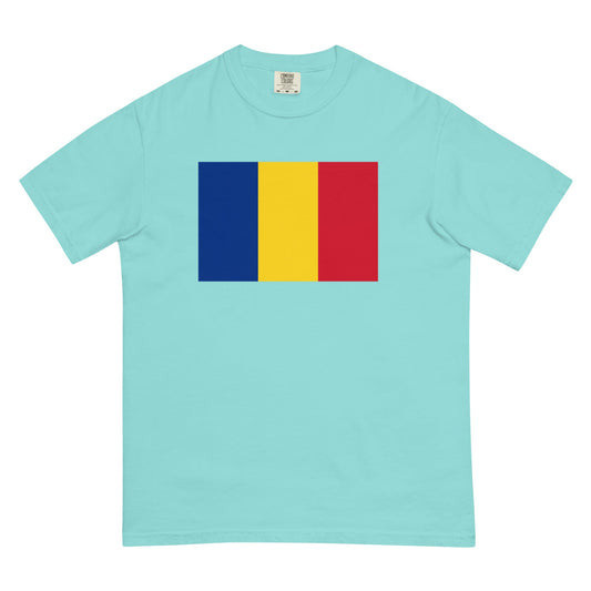 Flat lay of black Romania flag tee, small size