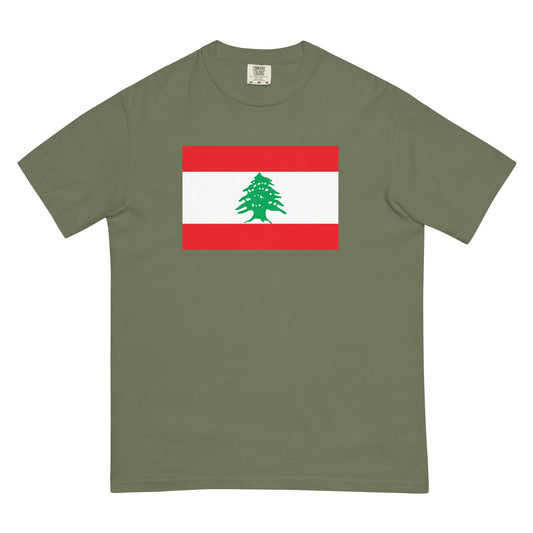 Bold Lebanon flag design tee in black, small