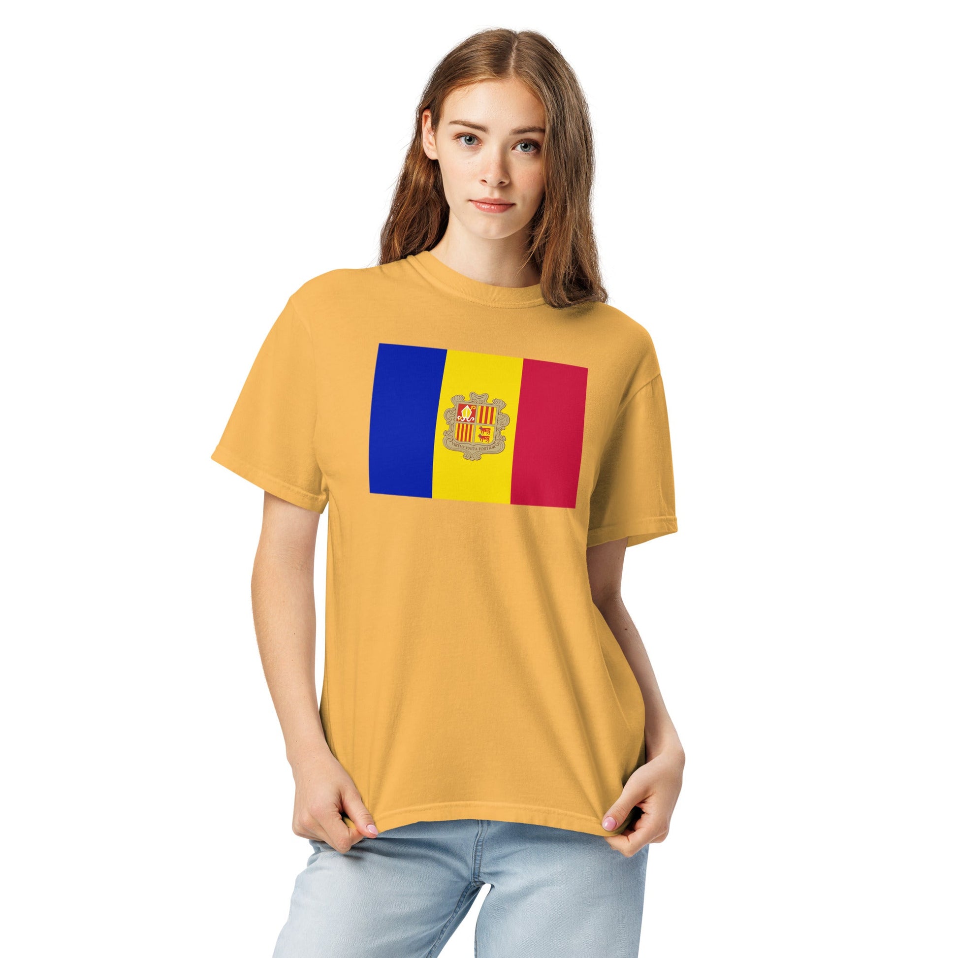 Andorra flag shirt in brick, size 3X large