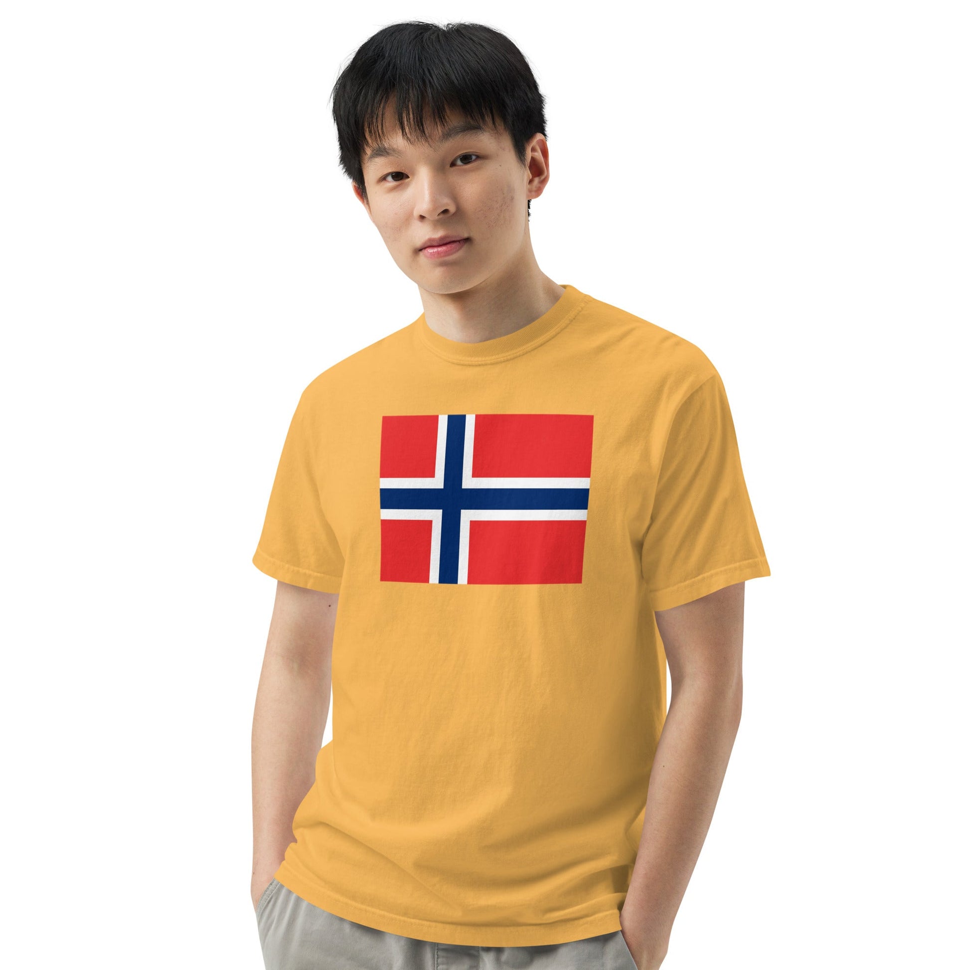 Norway flag shirt in black, size extra large