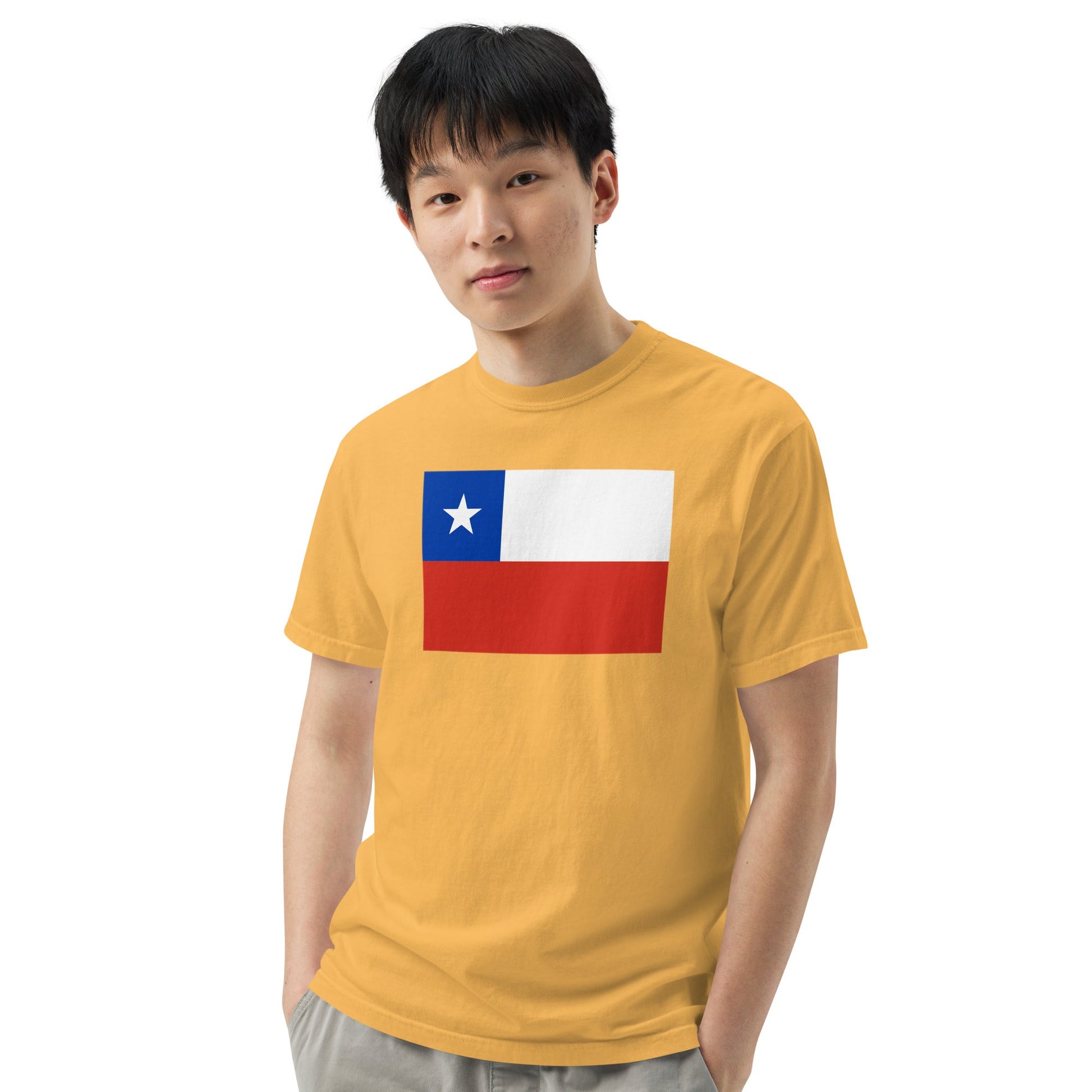blue spruce flag shirt for Chile – size medium