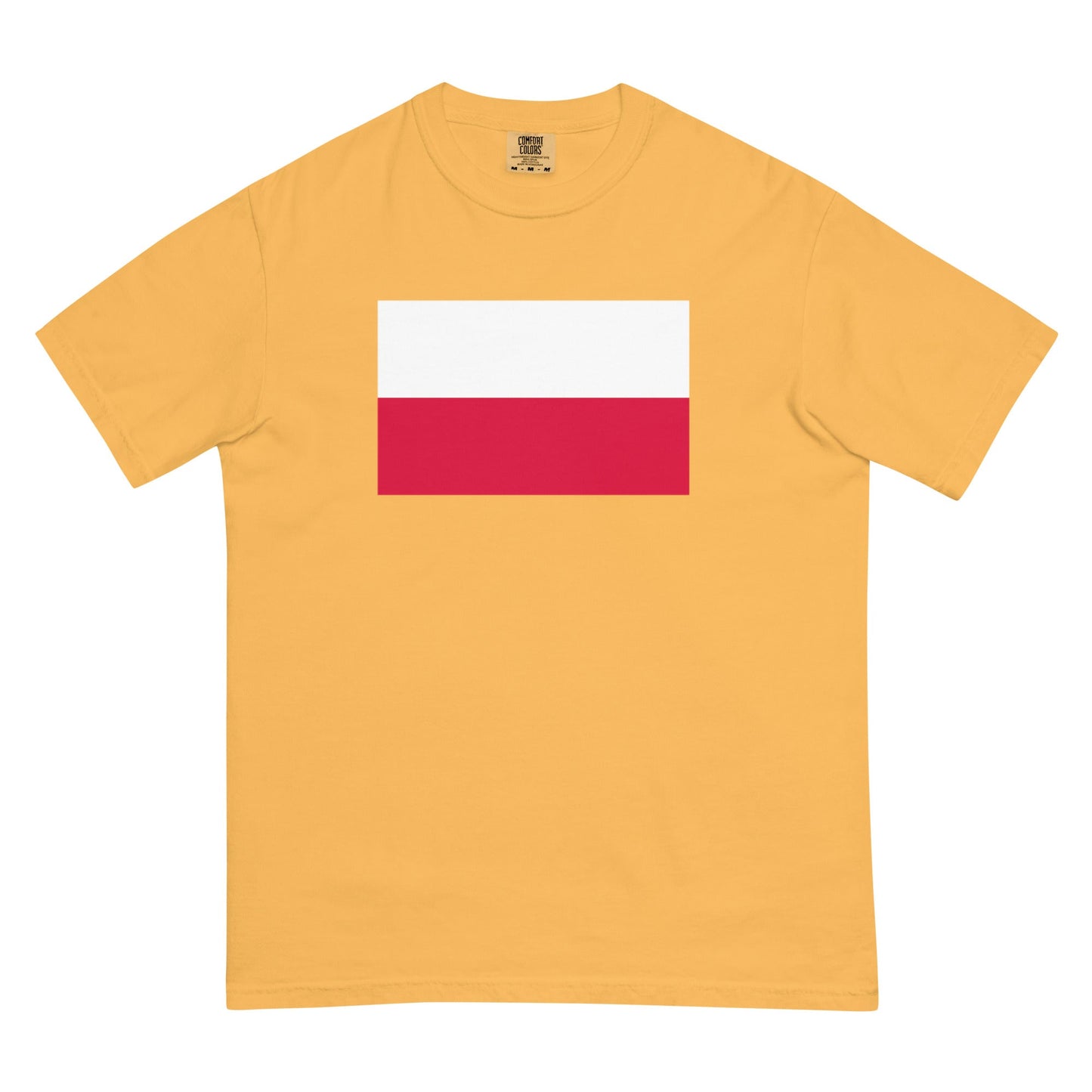 Bold Poland flag design tee in true navy, 4X large