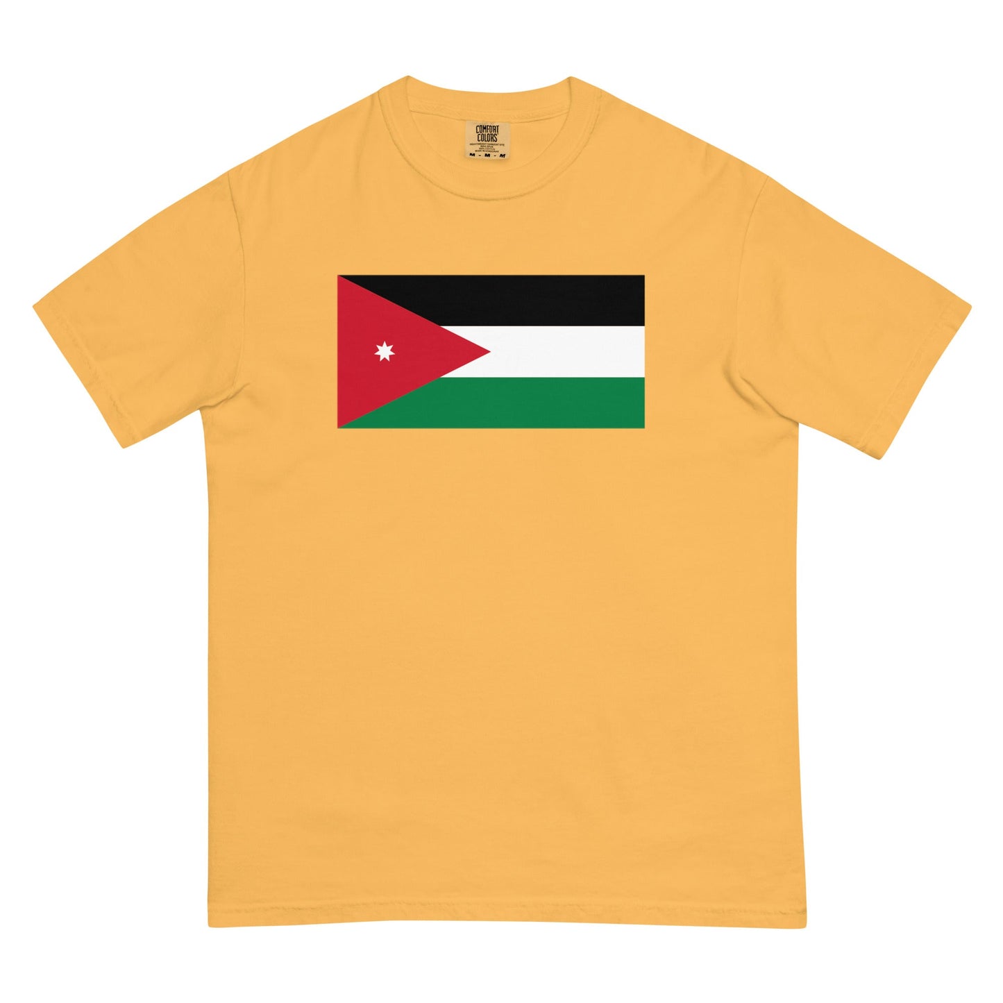 Bold Jordan flag design tee in brick, 4X large