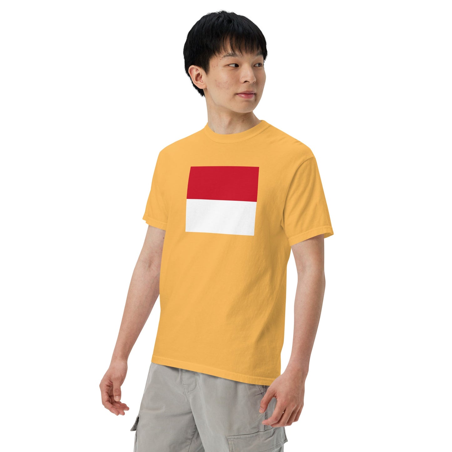 Bold Monaco flag design tee in true navy, medium