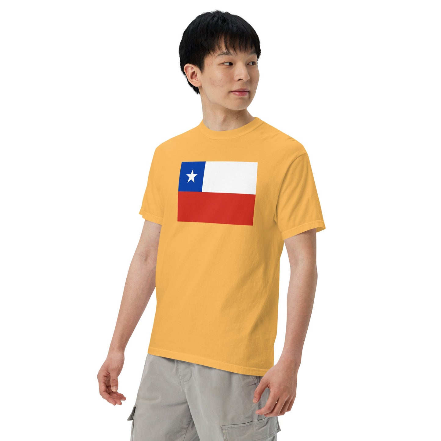 Bold Chile flag design tee in blue spruce, 2X large