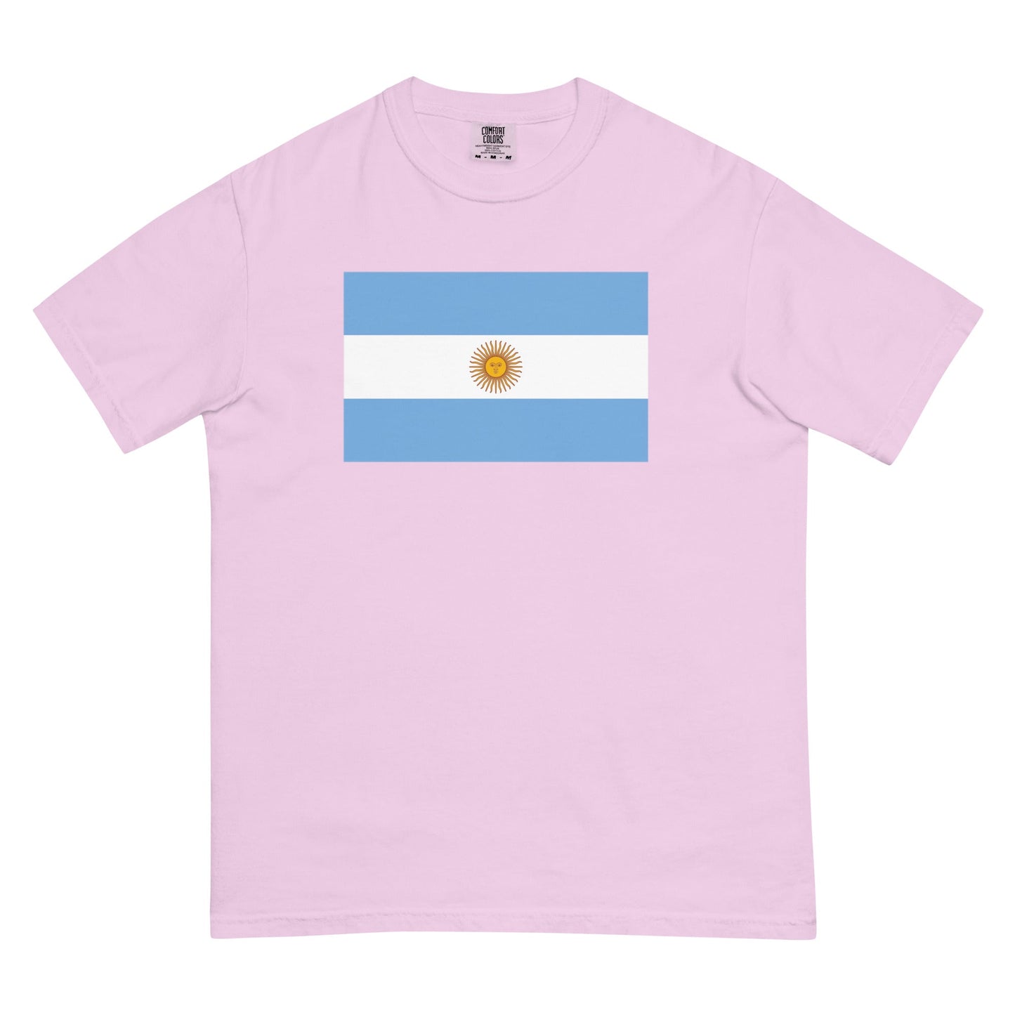 Flag tee representing Argentina in grape, 2X large