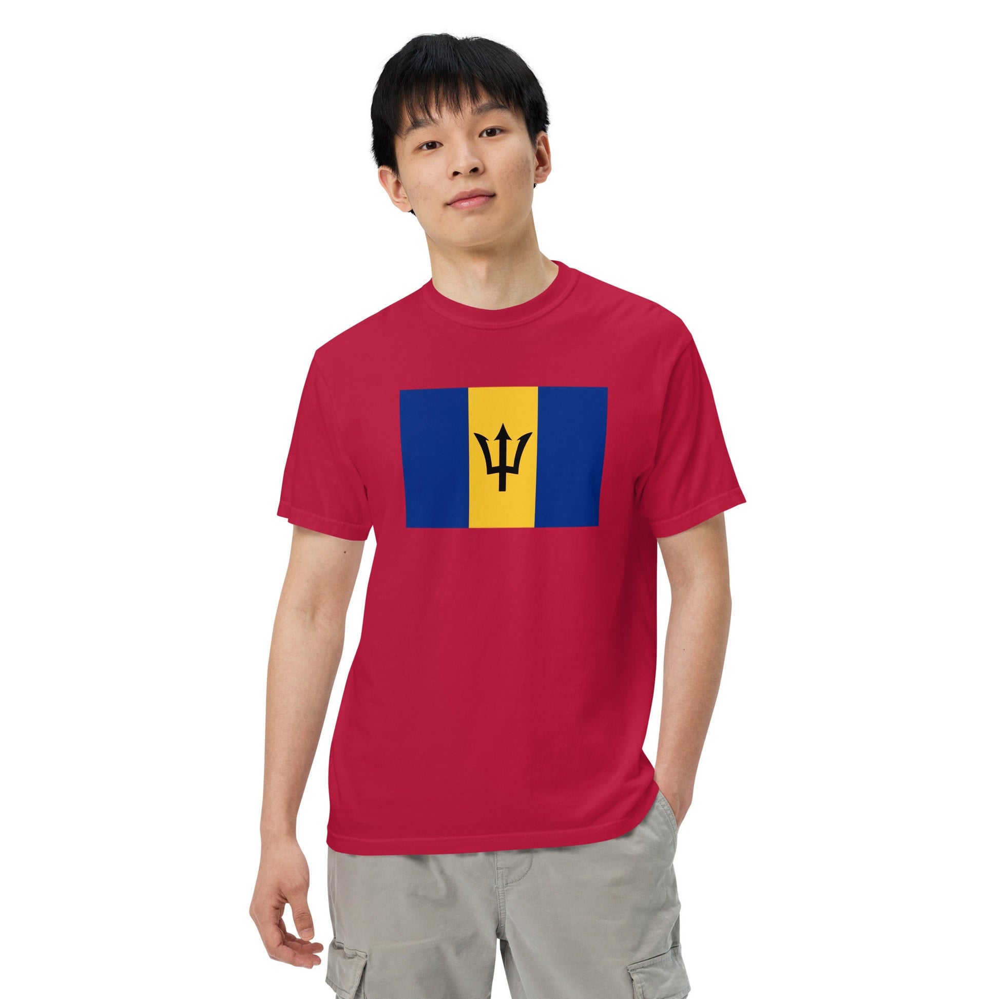 Bold Barbados flag design tee in navy, extra large