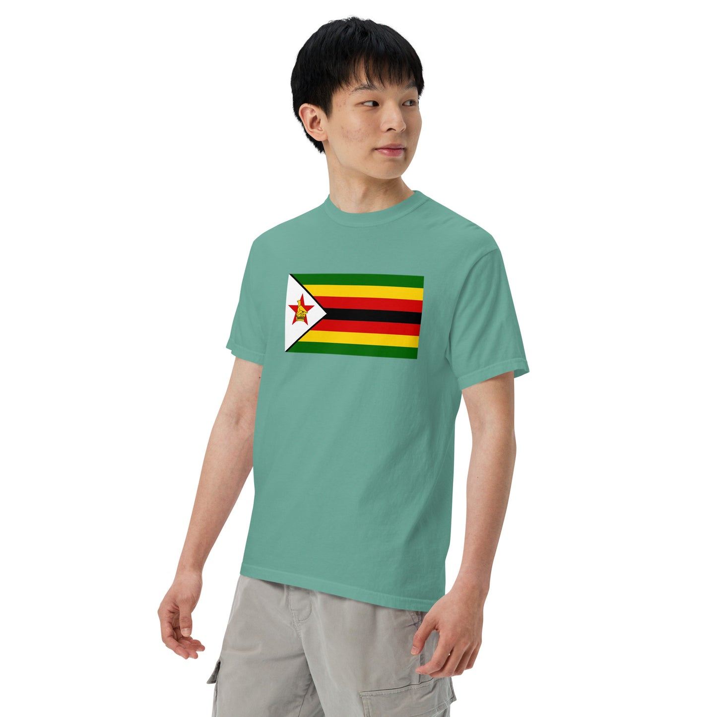 Bold Zimbabwe flag design tee in black, medium
