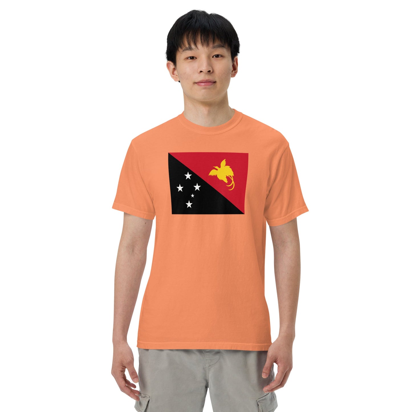 Flat lay of black Paraguay flag tee, large size