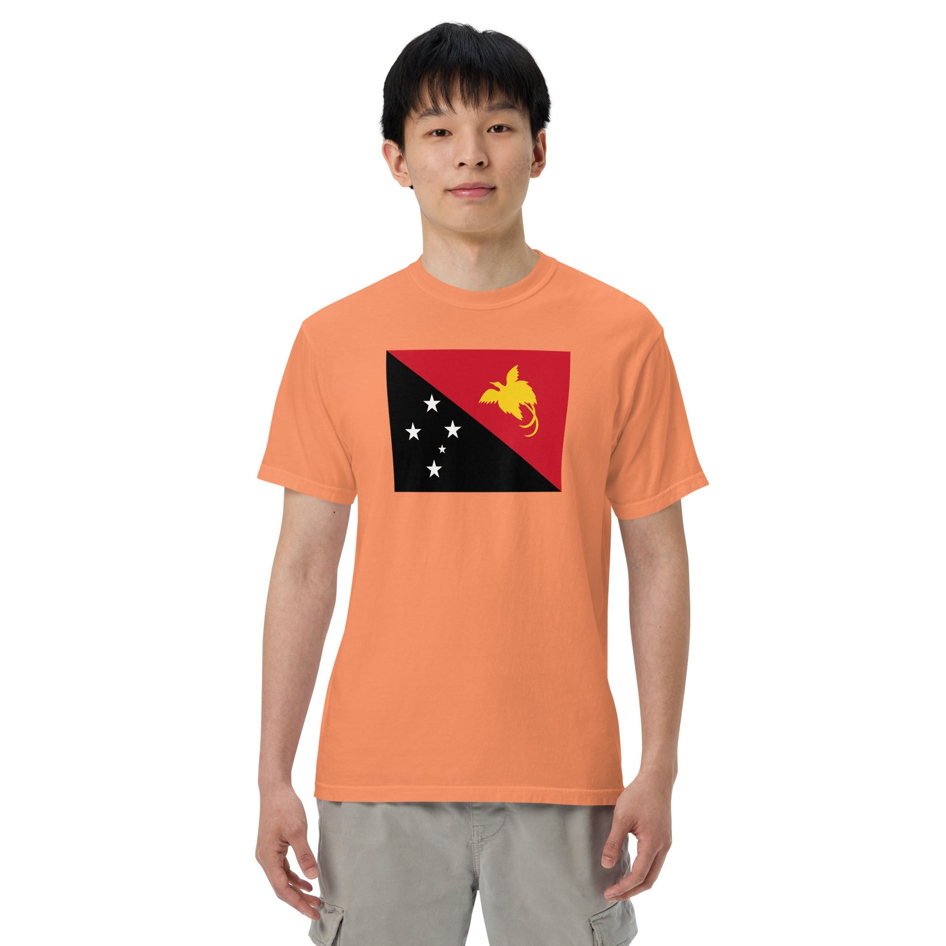 Flat lay of black Paraguay flag tee, large size