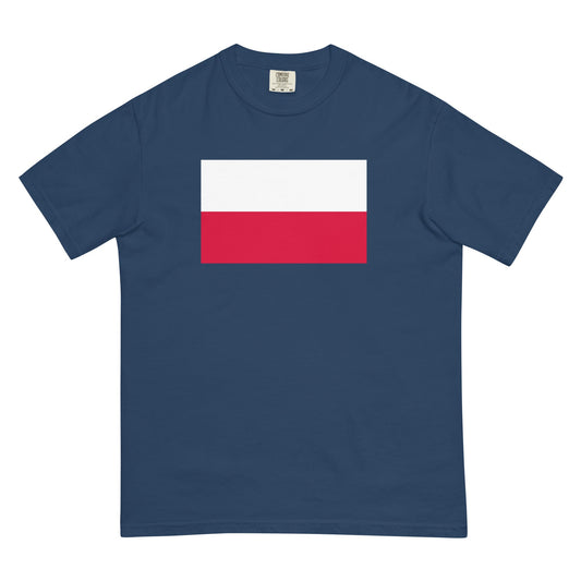 Bold Poland flag design tee in black, small