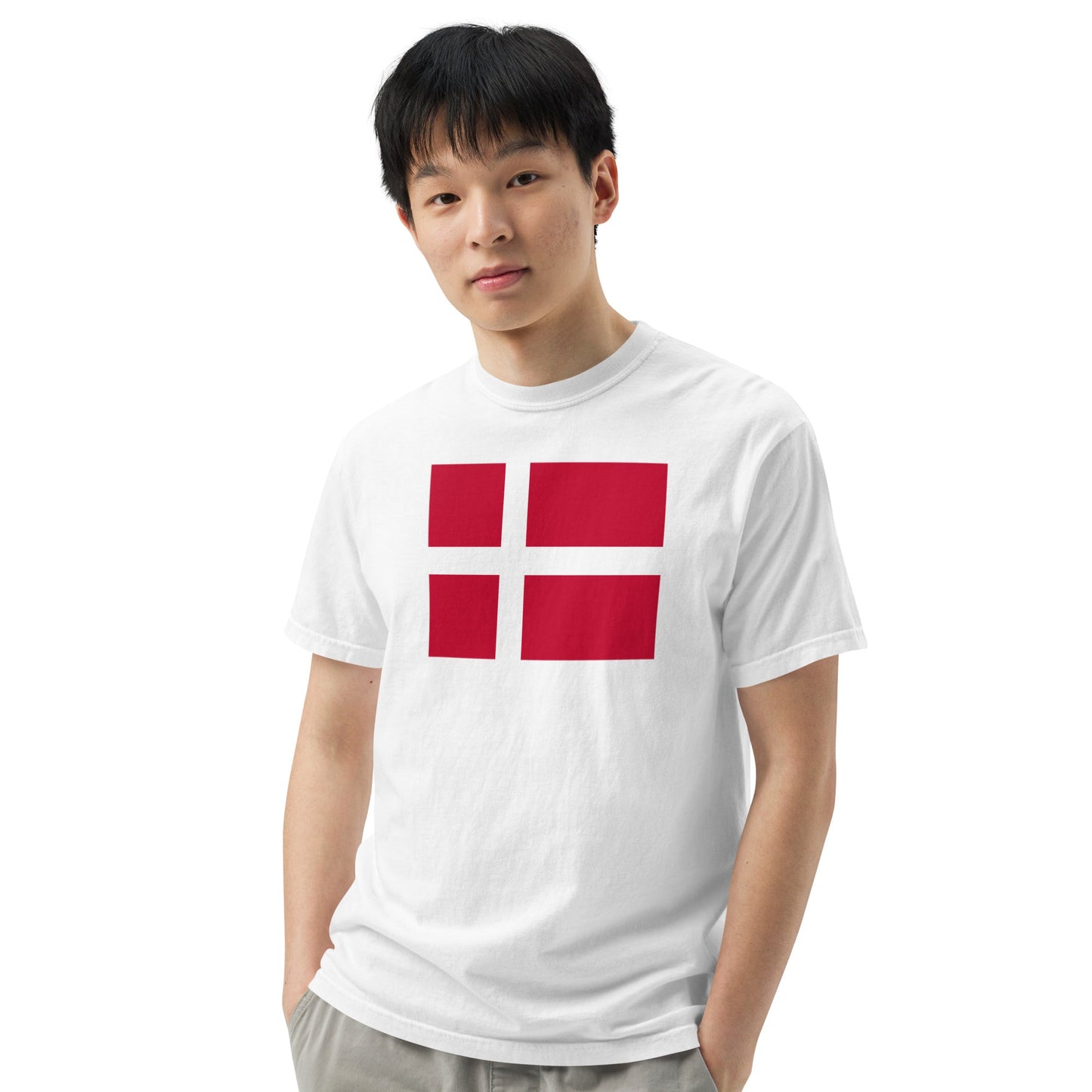 Denmark flag shirt in grape, size 3X large