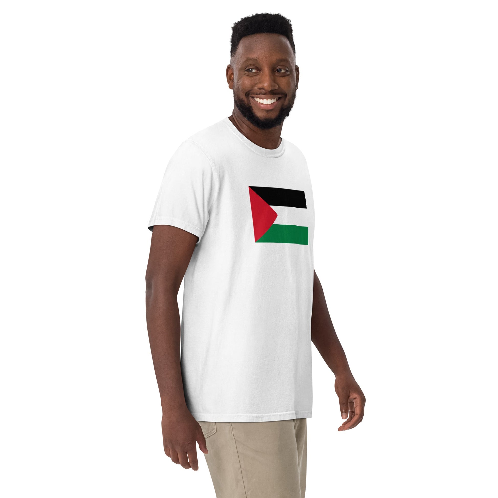 Palestine flag shirt in black, size 3X large