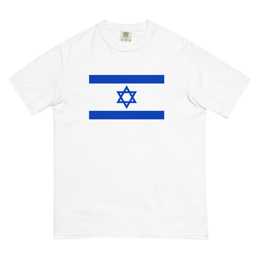 Flat lay of black Israel flag tee, small size