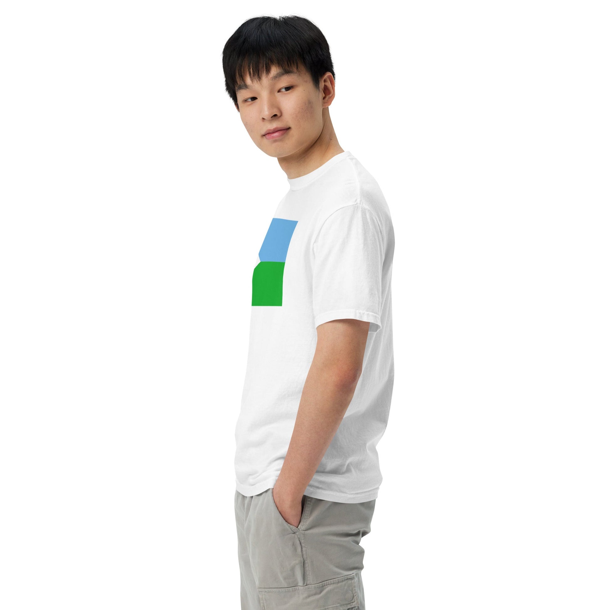 Bold Djibouti flag design tee in true navy, 3X large