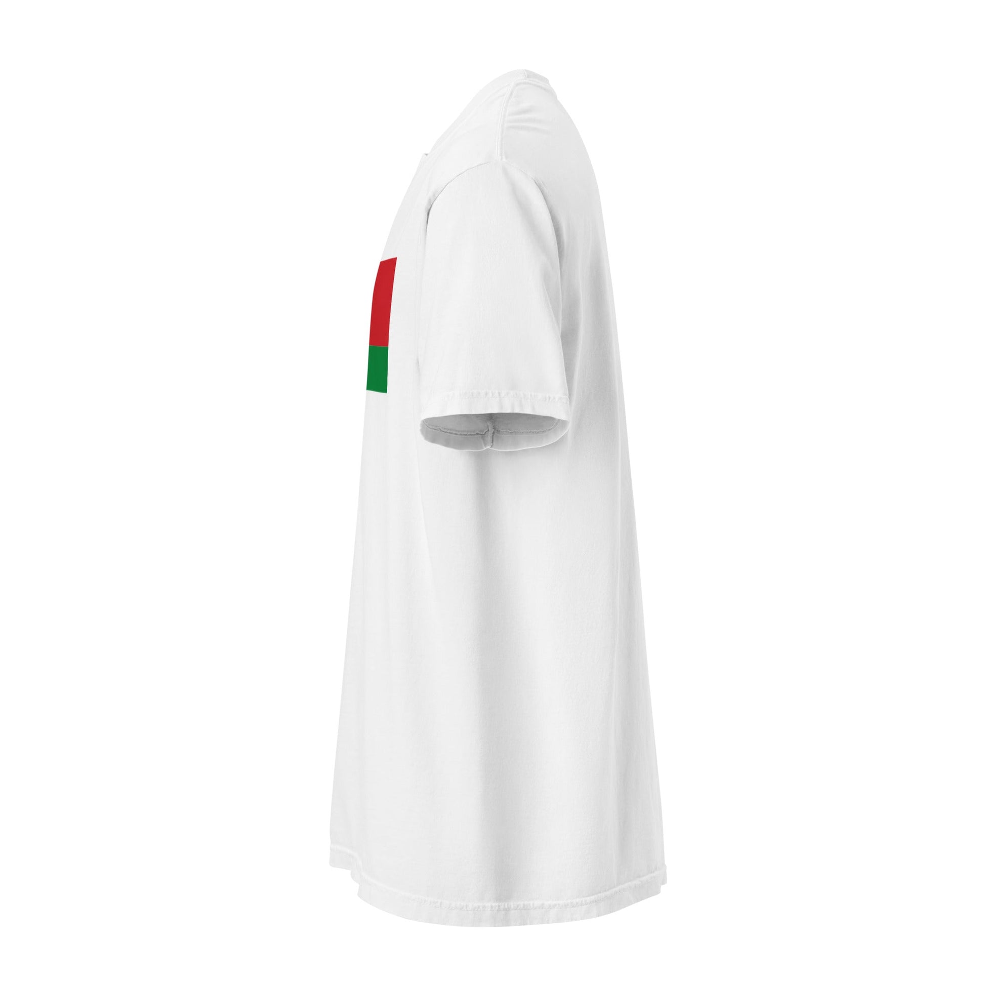 Belarus flag shirt in espresso, size medium