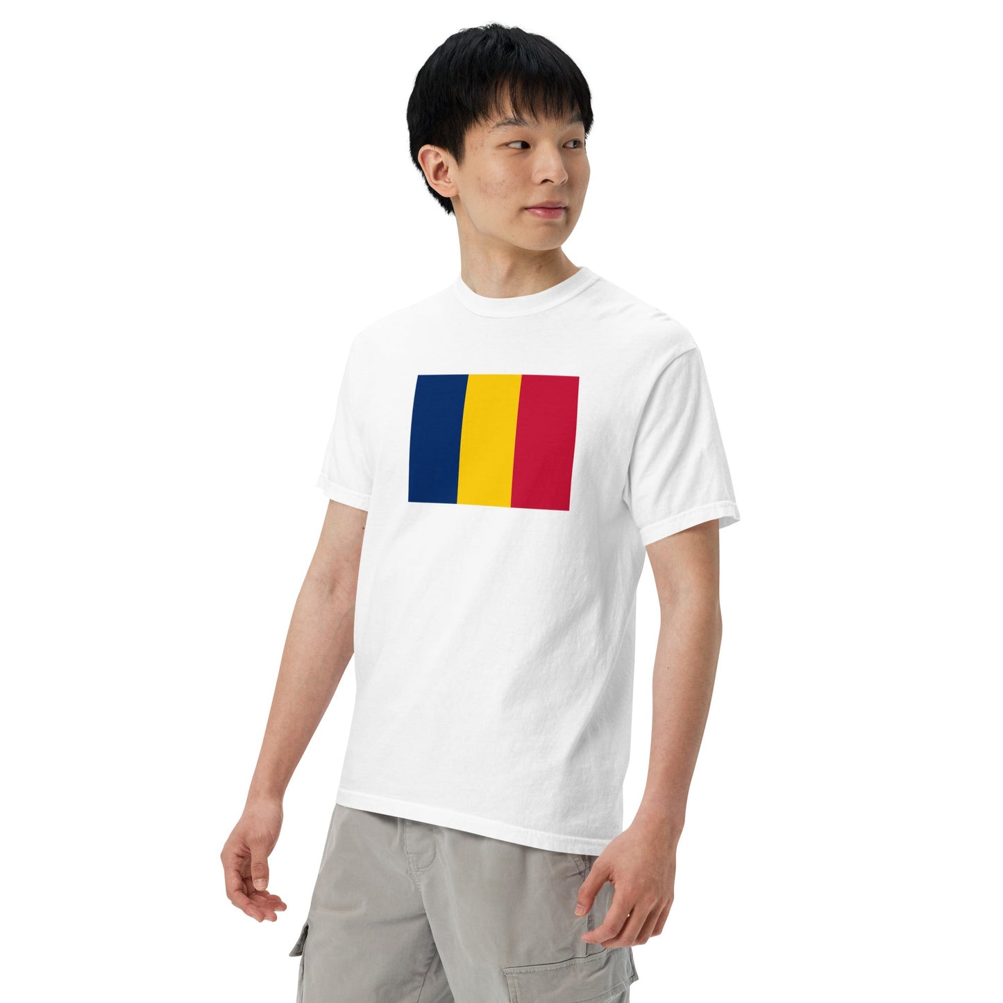 Chad flag shirt in brick, size extra large