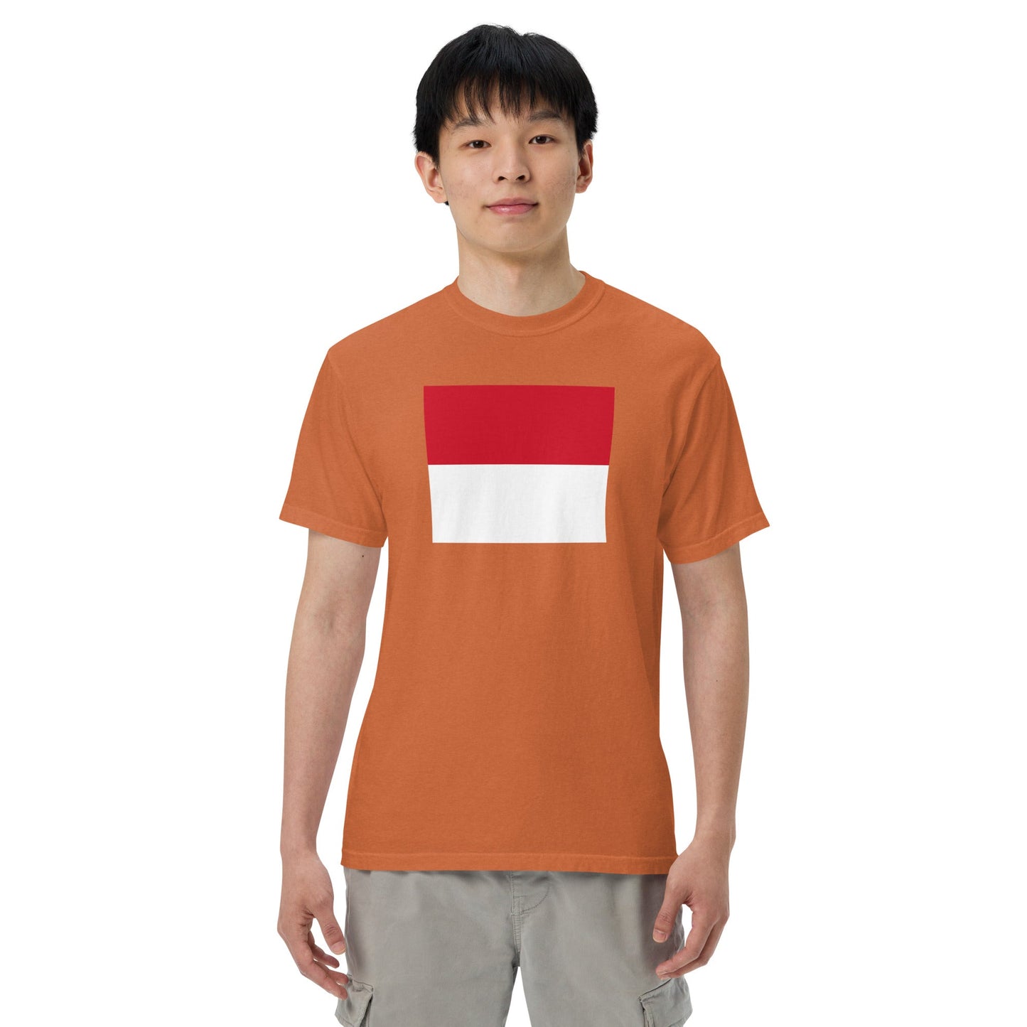 Stylish Monaco flag t-shirt laid flat, 3X large, black