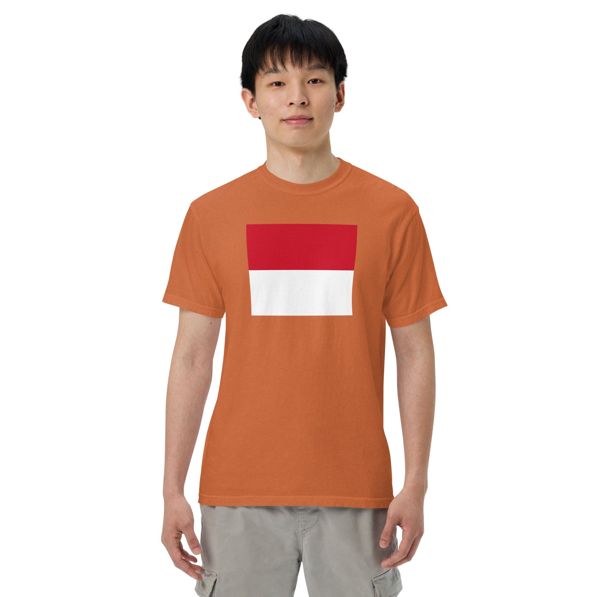 Stylish Monaco flag t-shirt laid flat, 3X large, black